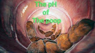 What is The pH of the poop?
