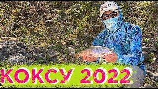 Hiking camping and fishing on Koksu river. Uzbekistan  Поход и рыбалка на реку Коксу. Узбекистан