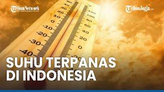 Inilah 3 KabupatenKota dengan Suhu Terpanas di Indonesia