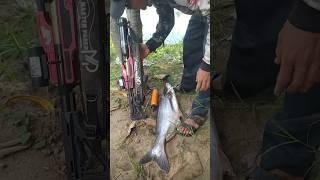 Poin patin Spot favorit di Lamongan #pasermania #paserikan #viral