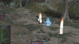 Lineage 2 - Spellsinger with supports farming Varka- Elmorelab Teon x1 C4