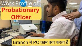 Work Profile of a Bank PO  Roles & Responsibilities of a POMT