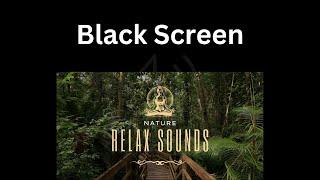 Black Screen  Relaxing Sounds - 8h nature sounds