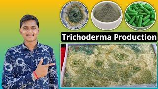 Trichoderma Production  Liquid Culture & Capsule  Bio Fungicide Uses & Benefits #igkv #igkvraipur