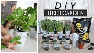 Beginners Guide To Creating Your Own Indoor Herb Garden Cheap and Easy