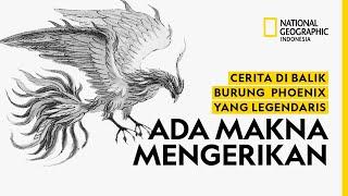 Cerita di Balik Burung Phoenix yang Legendaris Ada Makna Mengerikan - National Geographic Indonesia