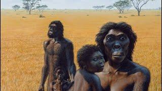 Homo Erectus Documentary  Ancient Human