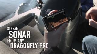 New Dragonfly 4 5 and Wi-Fish Sonar from Raymarine