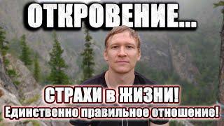 Это - Достойная жизнь Тревоги и страхи как выйти из зоны комфорта?