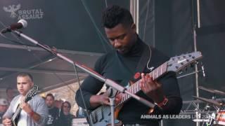 Brutal Assault 21 - Animals As Leaders live 2016