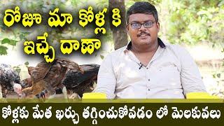 కోళ్లకు మేత ఖర్చు తగ్గించుకోవడం లో మెలకువలు  Feed Country Chicken  Healthy Food  9490279357