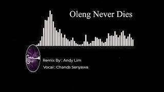 Oleng Never Dies - Andy Lim  Funkot Remix