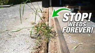 How To Get WEED-FREE Sidewalks And Driveways The PERMANENT Solution DIY