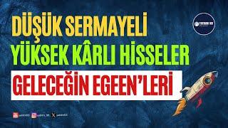 Düşük Sermayeli Yüksek Kârlı Şirketler