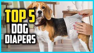 Top 5 Best Dog Diapers of 2024