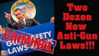 Two Dozen New California Gun-Control Laws