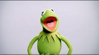 Kermit the Frog Buzzes In  Muppet Thought of the Week by The Muppets