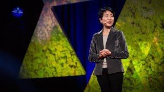 An economic case for protecting the planet  Naoko Ishii