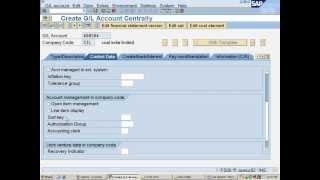 sap fs00 gl masters  creation   cost element acc