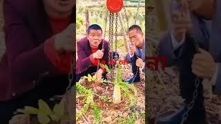 cina short video short funny videos