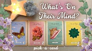 Pick A CardWhat’s On Their Mind? Thoughts +Feelingscrushexlovesituationshippersonrelationship