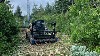 NEW HOLLAND C345 & OSMA SSQ-180 MAKING QUICK WORK OF THESE OVERGROWN SITES