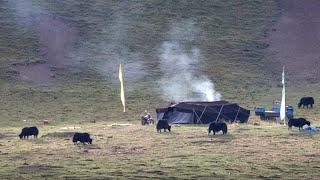 Drokpa Nomads - Tibetan Black Tent