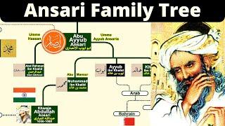 Ansari Family Tree  Abu Ayyub Ansari Family  Ansari family  Infotainment Channel