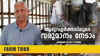 ആടുവളർത്തലിലൂടെ വരുമാനം നേടാം  Goat Farming in Malayalam  Jawan Goat Farm  Muvattupuzha