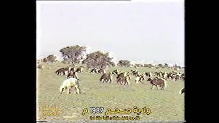 تربية الاغنام  ولاية صحم - 2  1987م ، تعليق حسن سالم الفارسي ، سلطنة عُمان 1987م