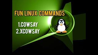 Fun Linux Commands  cowsay  xcowsay  Kali Linux