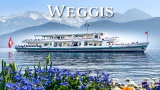 Weggis is the pearl of Central Switzerland  A magical village in spring 