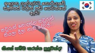 ඉගෙන ගන්න ගමන් කැම්පස් එකෙන් පඩි ගන්නේ කොහොමද?  Student life in South Korea 