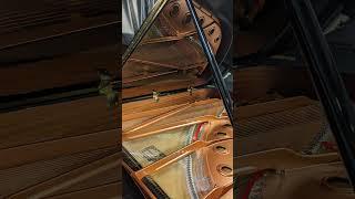 Amazing Yamaha C7X Grand Piano  #piano #music #yamaha