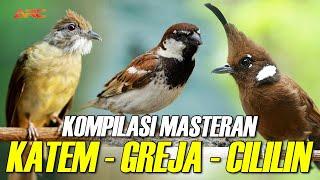 KOMPILASI MASTERAN CILILIN - KAPAS TEMBAK - GREJA TARUNG  AUDIO HD