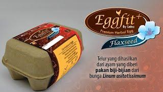 EggFit + Flaxseed Telur Herbal Premium dari Leinz