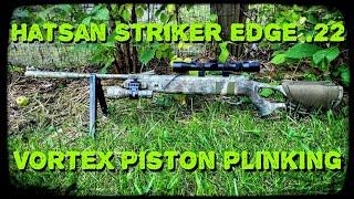 Hatsan Striker Edge Plinking