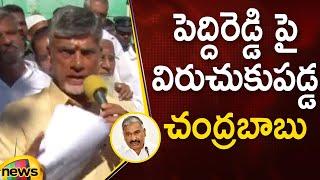 Chandrababu Naidu Serious Comments On Peddireddy  TDP Vs YCP  AP Political News  Mango News