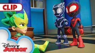 A Day With Black Panther  Marvels Spidey and his Amazing Friends  @disneyjr