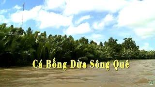 Ký ức miền quê  Cá bống dừa sông quê  THKG