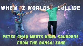 When Two Worlds Collide - Peter Chan Meets Nigel Saunders from The Bonsai Zone