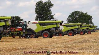 Claas - Fendt - MAN  Getreideernte - Grain Harvest  2024