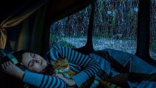 Sounds Rain & Thunder on Window Car for Sleeping  - Natural Sounds help Deep Sleep Relax Study