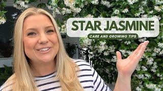 Star Jasmine Care & Growing Tips