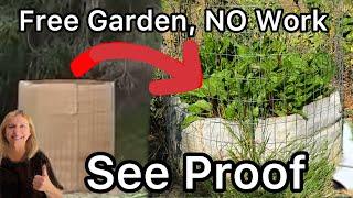Growing TONS of Food SEE RESULTS on No Turn Compost Fast & Easy FREE Vegetable Garden with NO Work