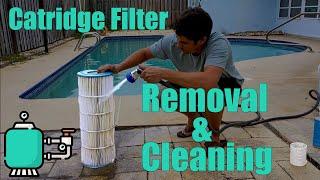 How To Clean a Pool Cartridge Filter - Removal and Cleaning