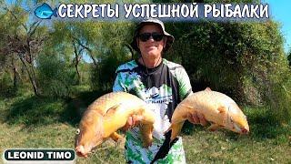 РЫБАЛКА НА КАРПА ОГРОМНЫЕ УЛОВЫ И ПРИКЛЮЧЕНИЯ НА ПРИРОДЕ  Leonid Timo