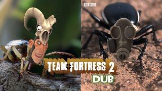 TF2 Dub The Attack of Phlogpister and Bombardsmus #bugs