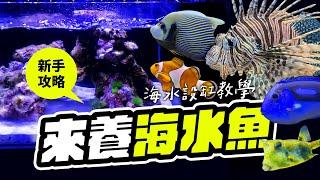 一看就學會，你的第一個海水缸教學！How to Start a Saltwater Fish Tank? Beginner Guide.