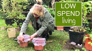 HOMEMADE SMOOTHIE  CONTAINER GARDENING  FRUGAL LIVING LLOG